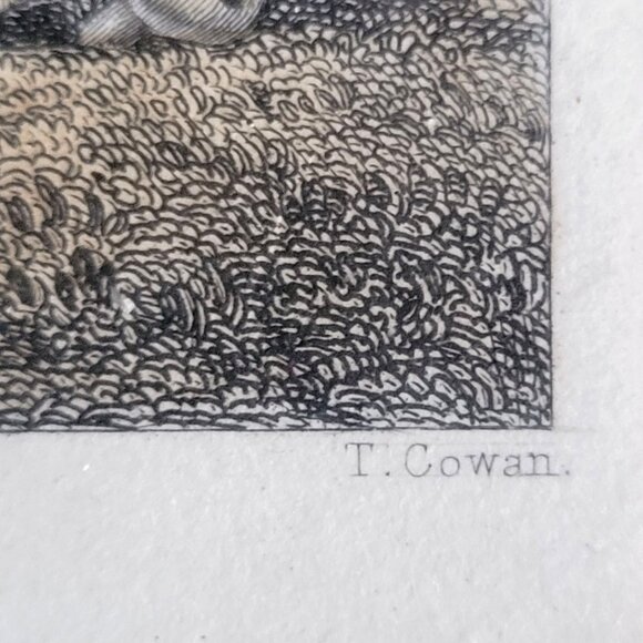 Rhind Botanical History Vegetable Kingdom Hand Colored Bookplate Mushrooms 1855 - Picture 8 of 11